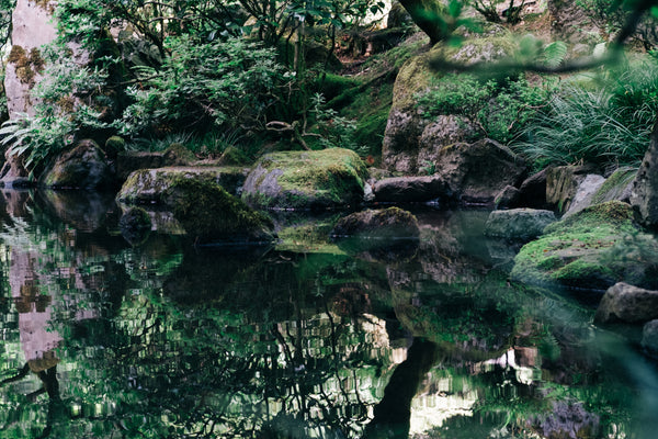Zen- Amethyst